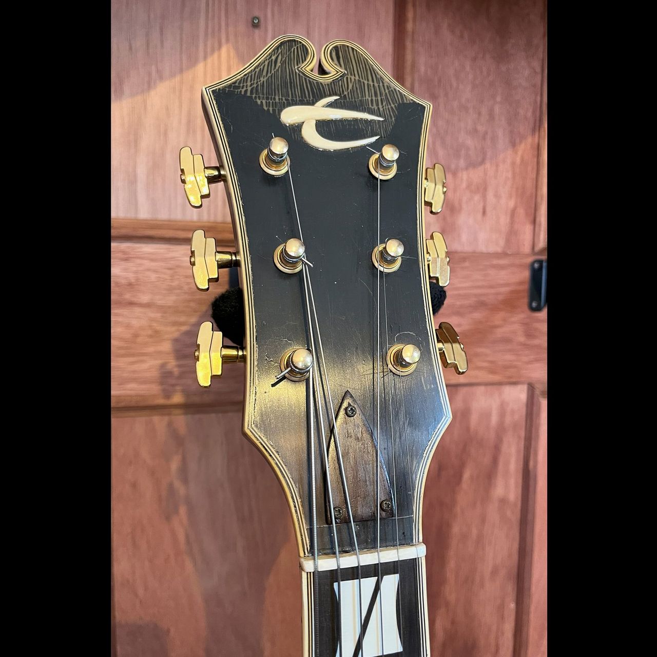 ルシアーメイド 単板削り出しアーチトップギター（中古）【楽器検索