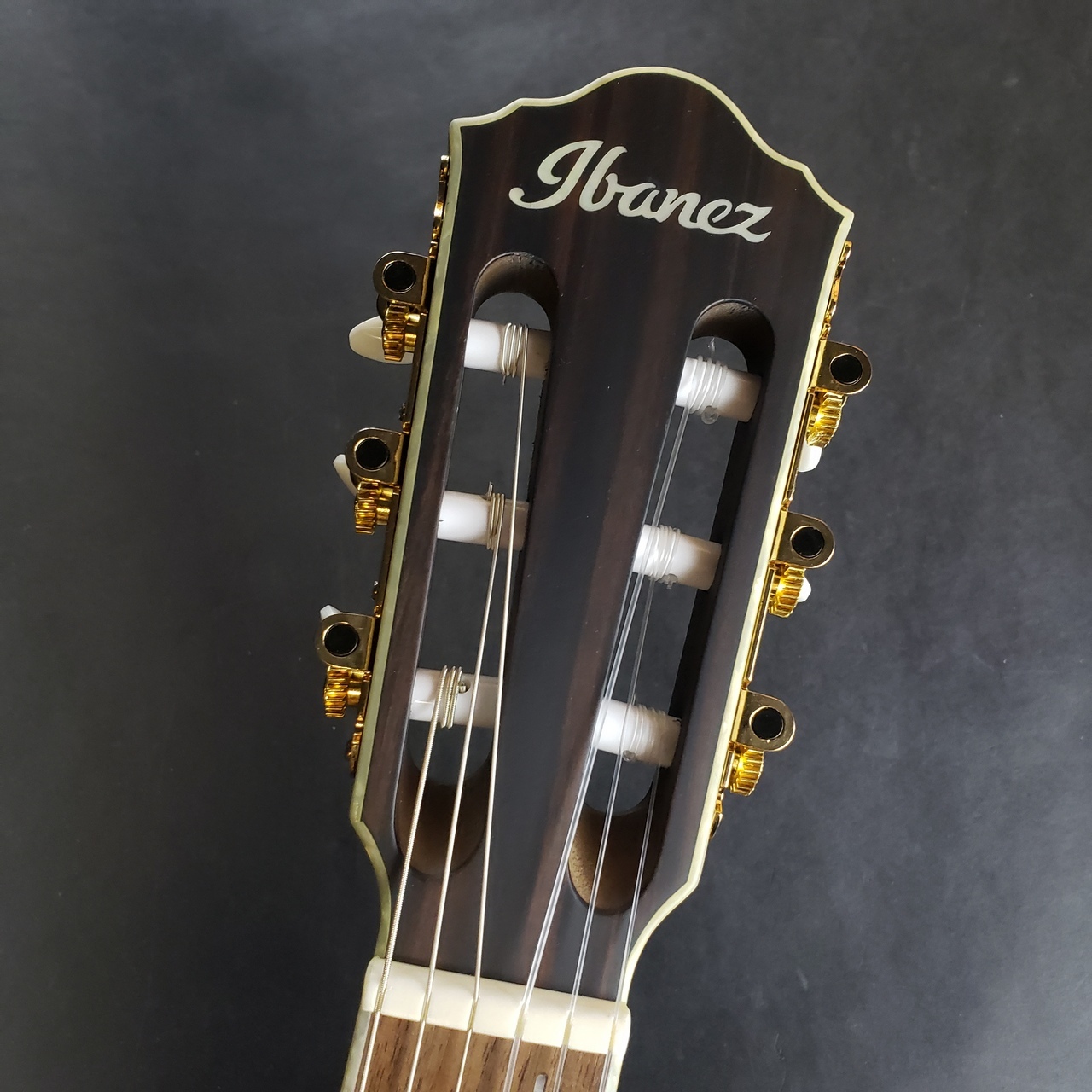 Ibanez アイバニーズ TOD10N TKF エレガットギター Tim Henson