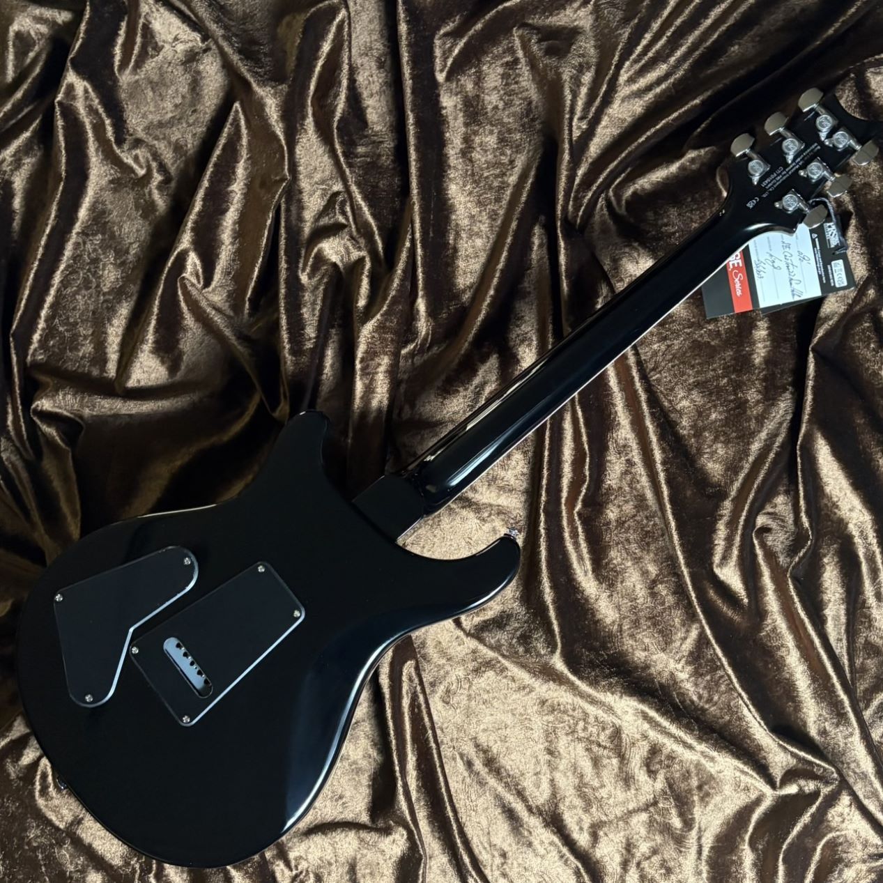 Paul Reed Smith(PRS) 《現物画像 / 限定生産モデル》SE Custom 22