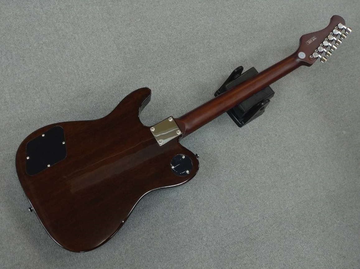 Bacchus Global Series / BARON-JAZZ BLK-Top アーチトップ