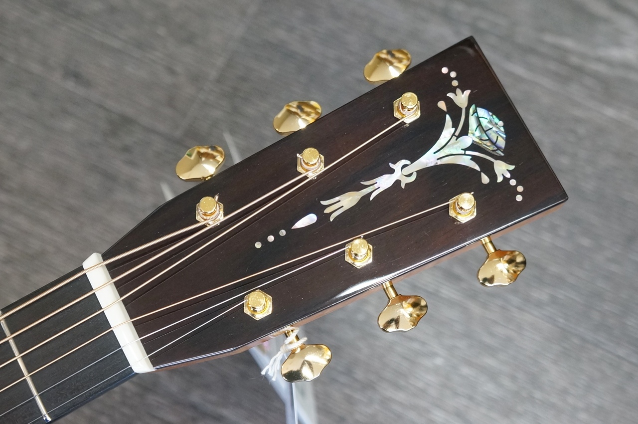 ASTURIAS E.C. CUSTOM（新品）【楽器検索デジマート】