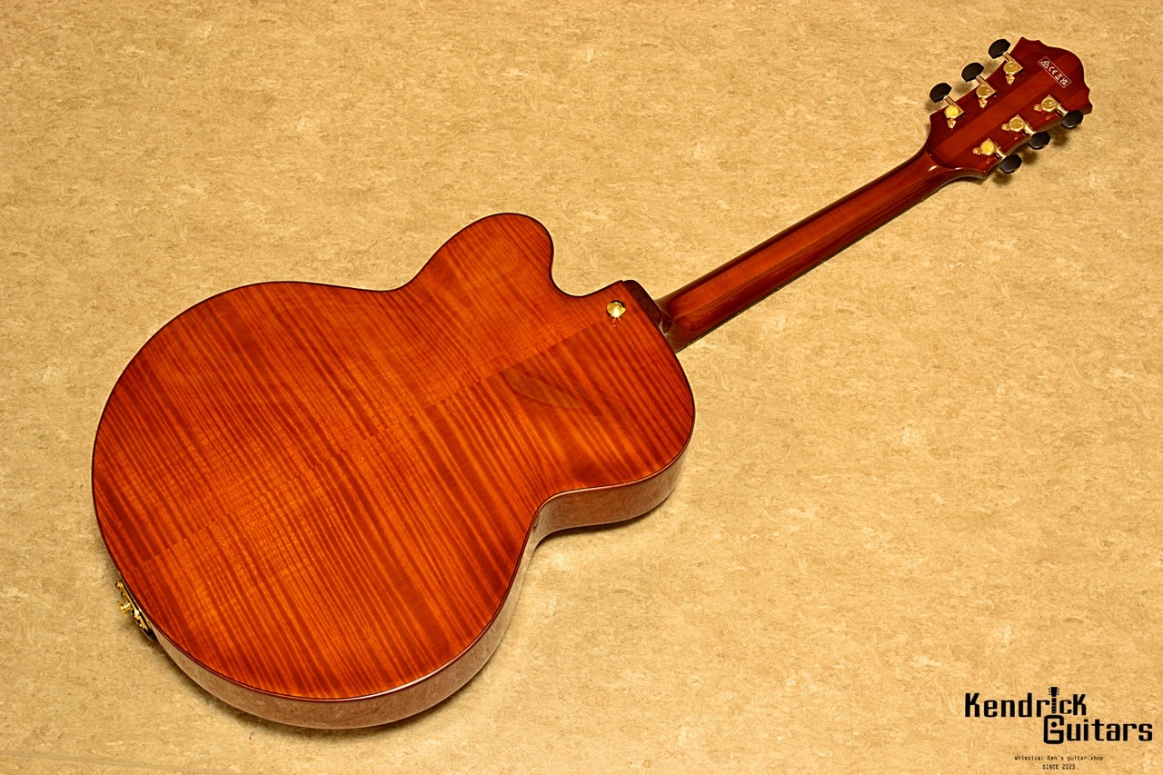 Ibanez AFC151-DA w/OHC（中古/送料無料）【楽器検索デジマート】