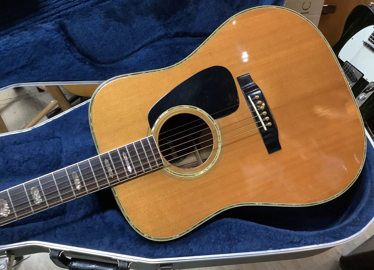 Morris TF-805 モーリス（中古）【楽器検索デジマート】