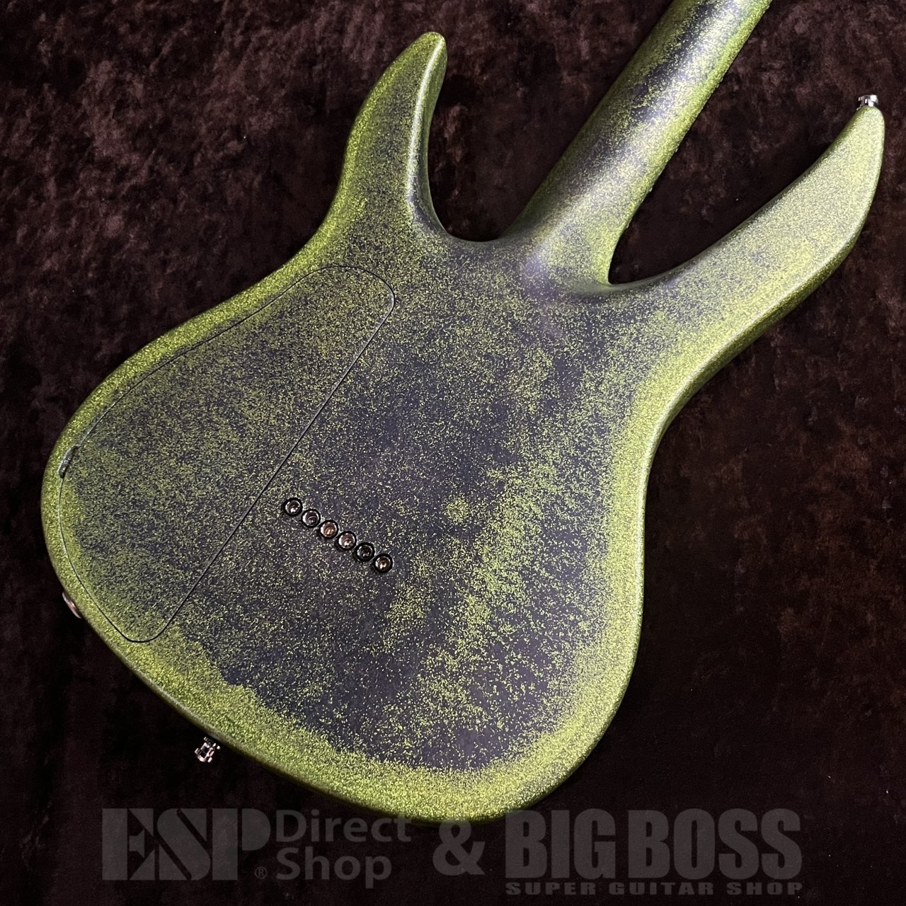 RUF Guitars Professor Schrödinger 6 TT Bad Trip st The Swamp