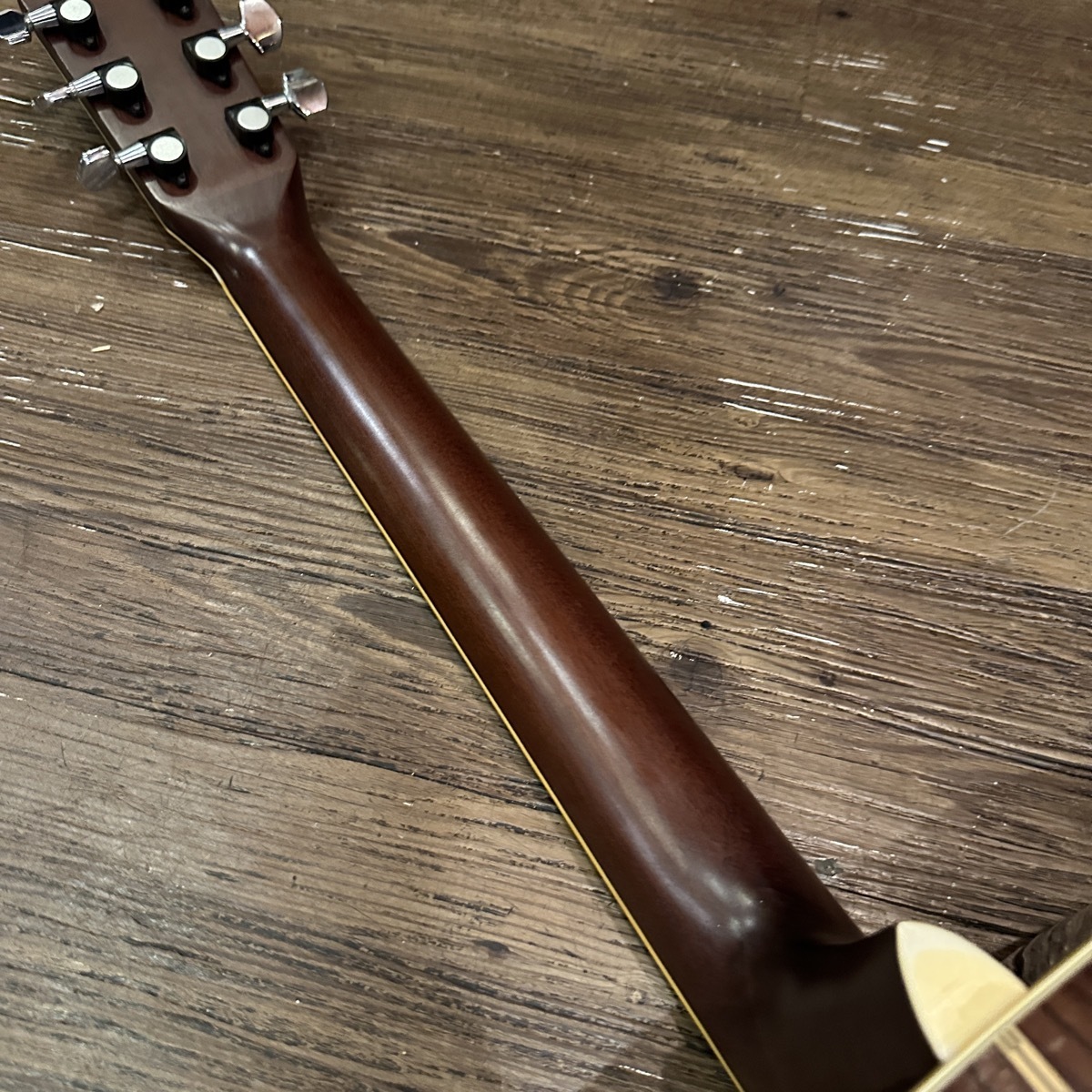 Tokai Cat's Eyes CE-250 Acoustic Guitar （中古/送料無料）【楽器