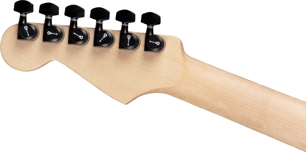 Charvel Pro-Mod DK24 HH HT E Mahogany with Poplar Burl Ebony 