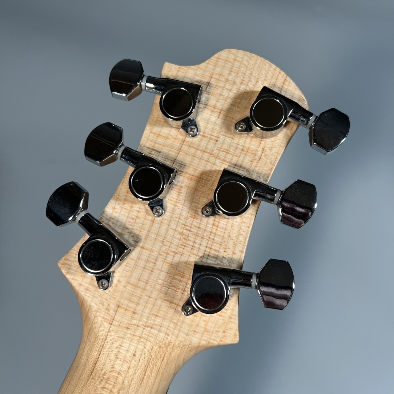 Relish Guitars Trinity 【現物写真/約3.2Kg】【交換用ピックアップ付