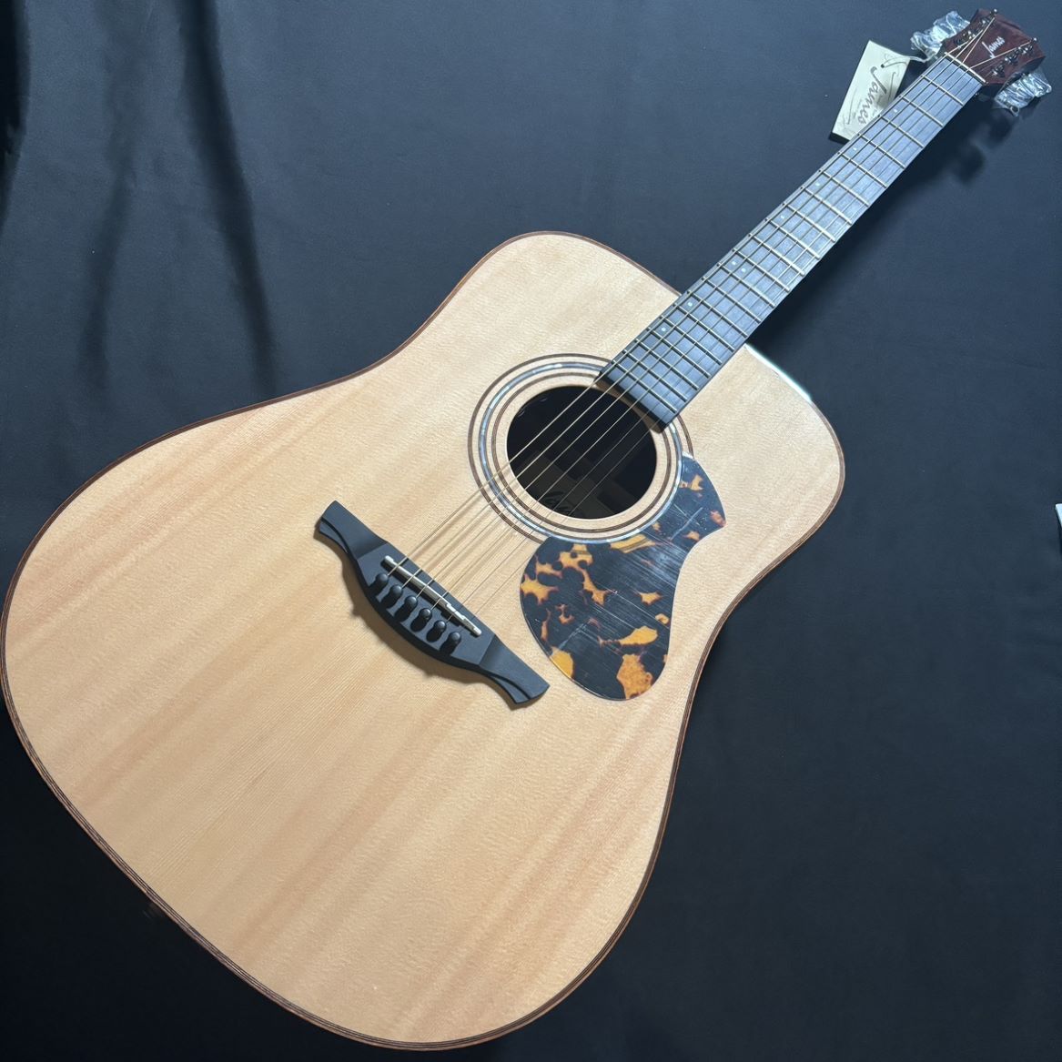 James J-900/L L.R.Baggs PU搭載エレアコ オール単板 ドレッド