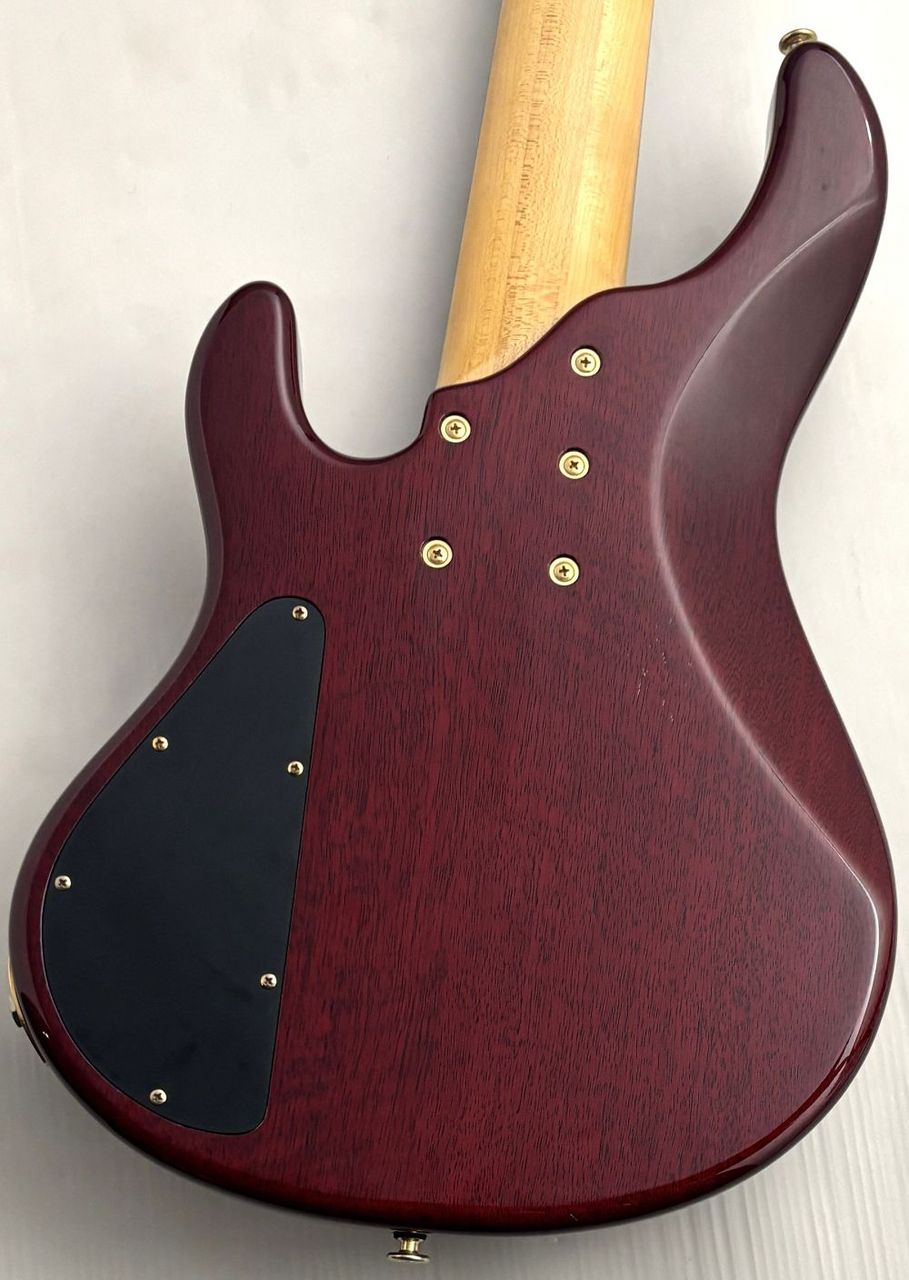 STR GUITARS 【48回無金利】LS549 【USED】（中古）【楽器検索