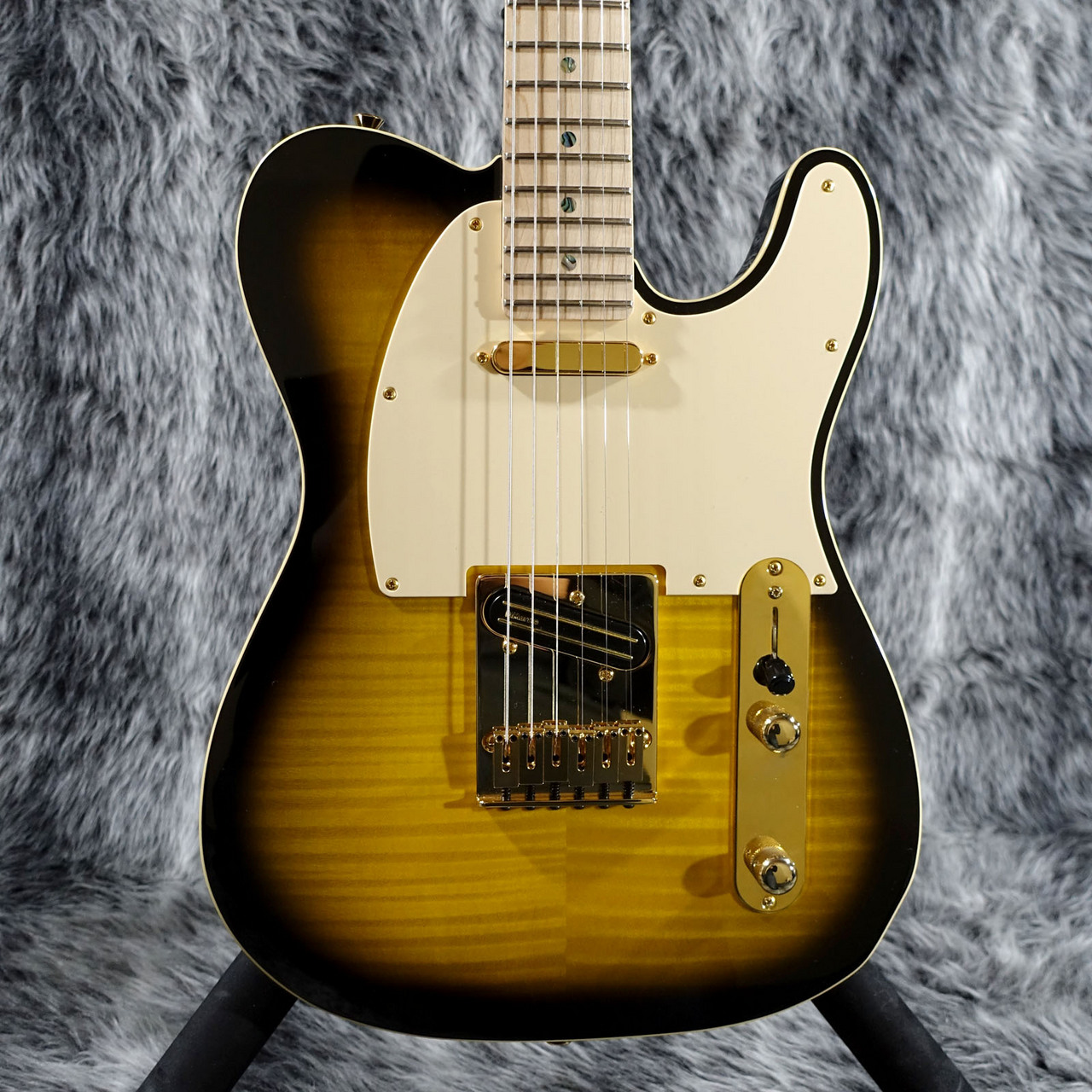 richie kotzen リッチー コッツェン テレキャスター fender - 楽器/器材