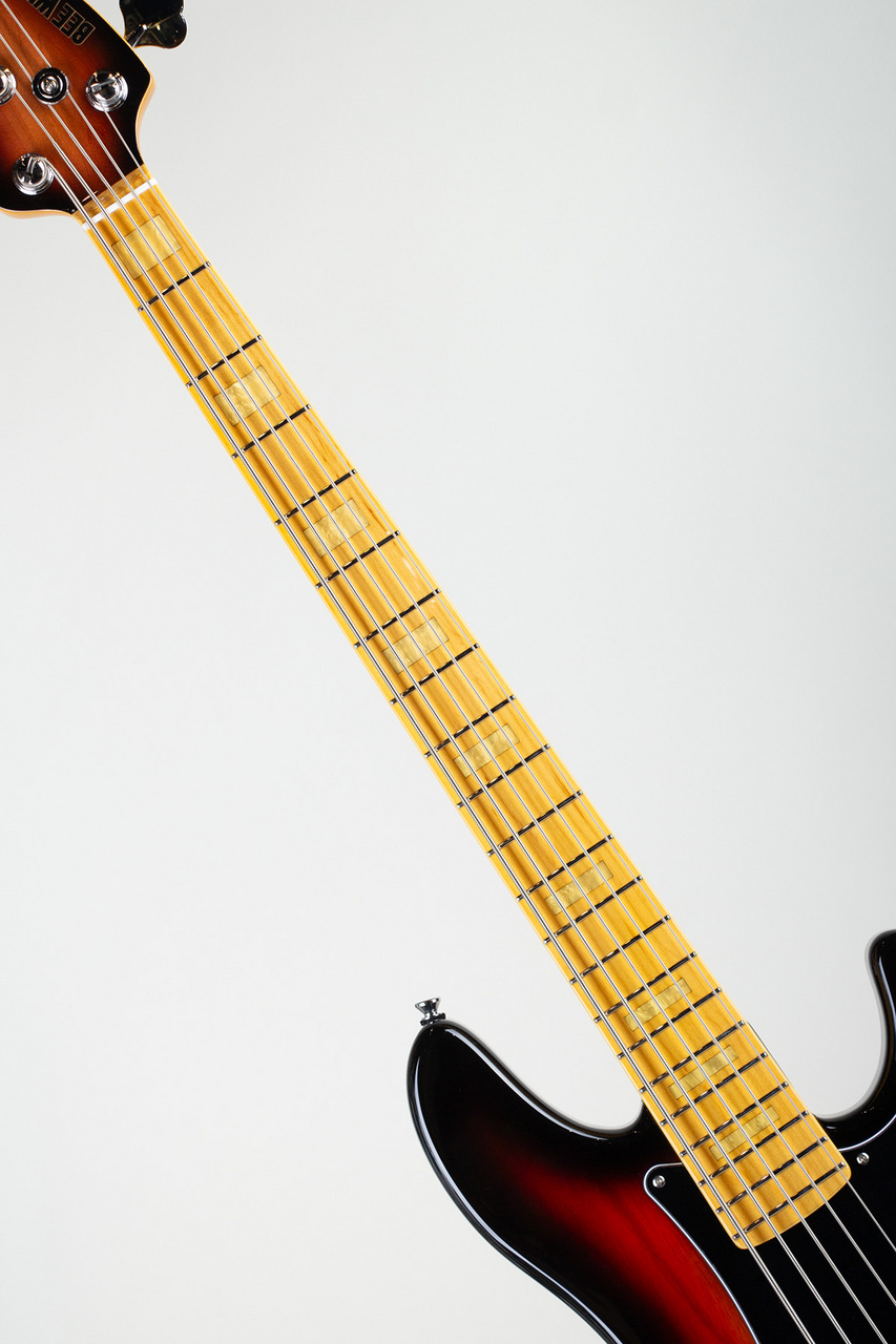 BEE WING Standard 5-Strings / SWAMP ASH / SUNBURST（新品）【楽器