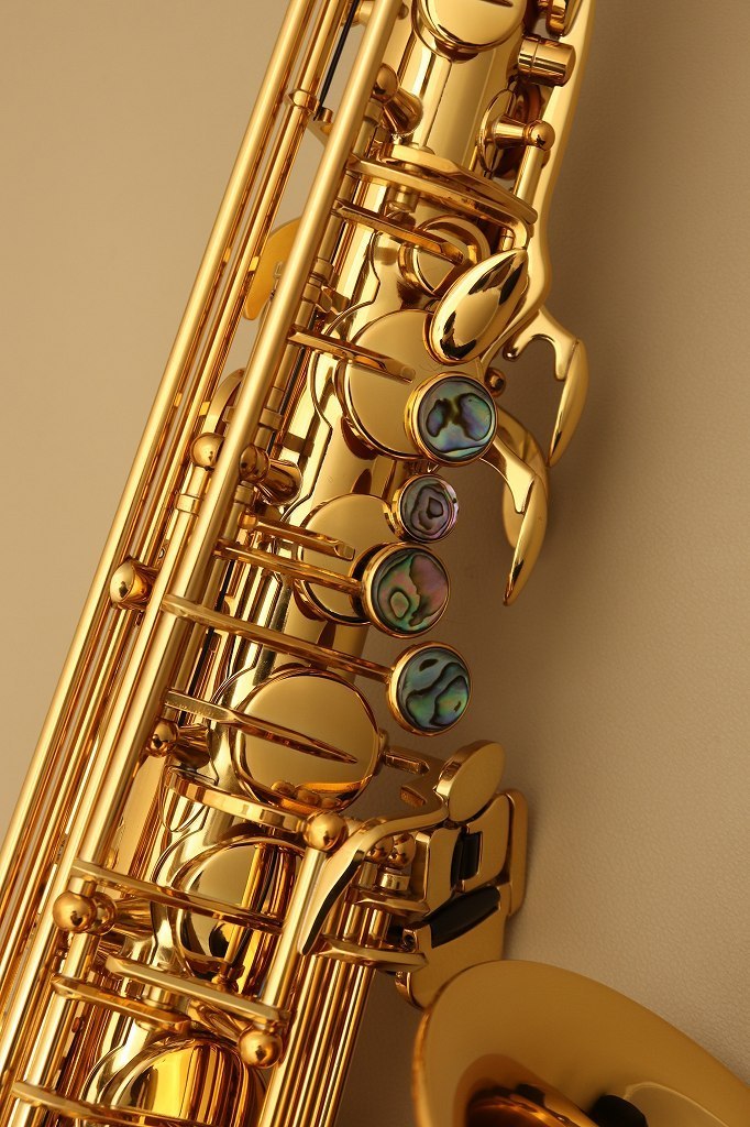 キャノンボール CANNONBALL A.Scep-L アルトサックス