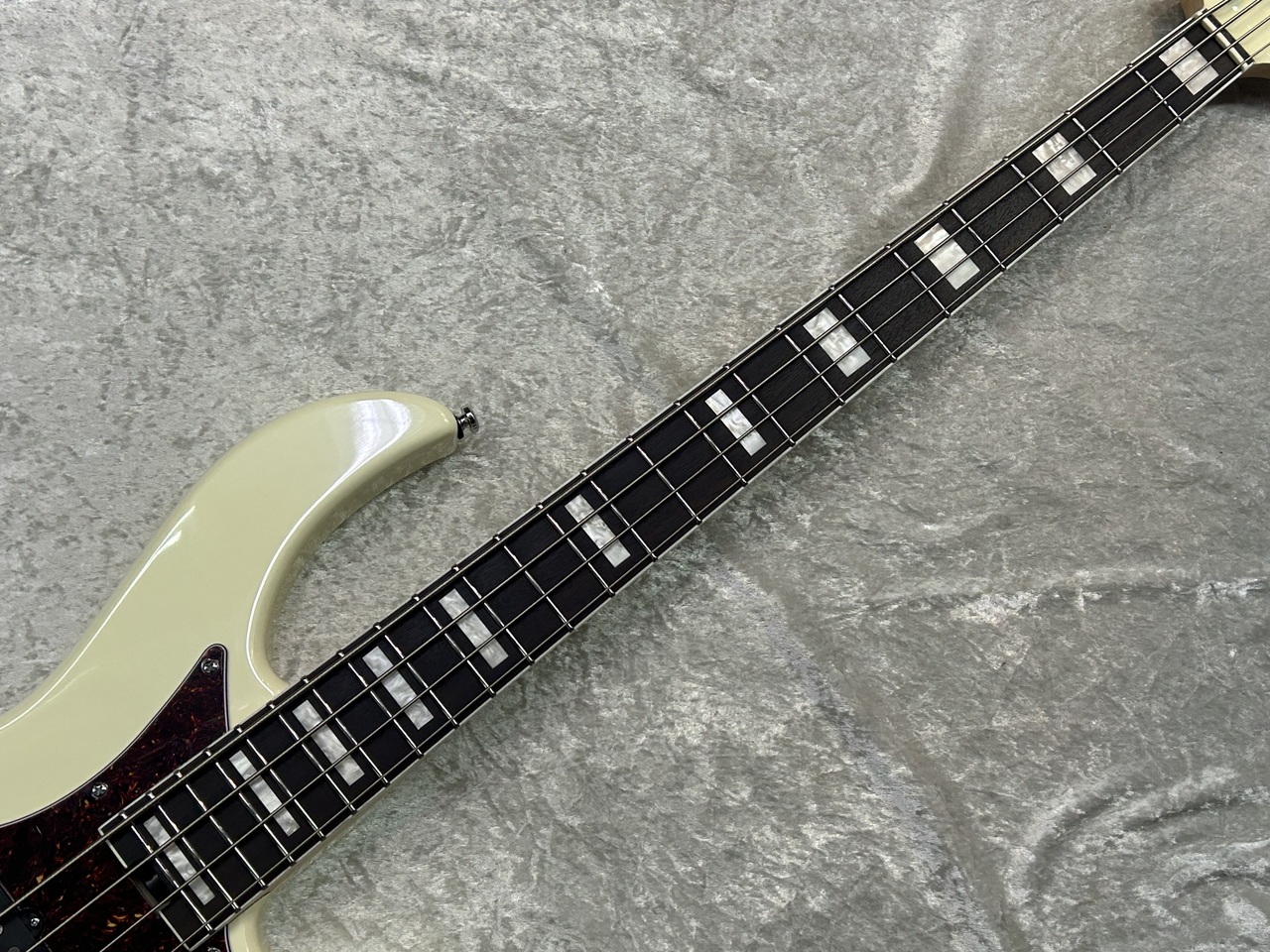 Aria Pro II RSB-800 (White)（新品/送料無料）【楽器検索デジマート】