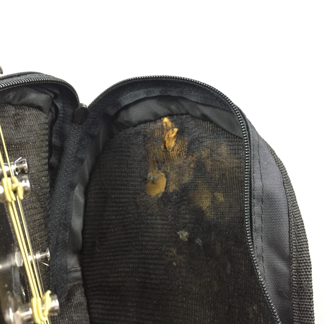 SCHECTER OL-FL SSG(Satin Surf Green)（中古/送料無料）【楽器検索