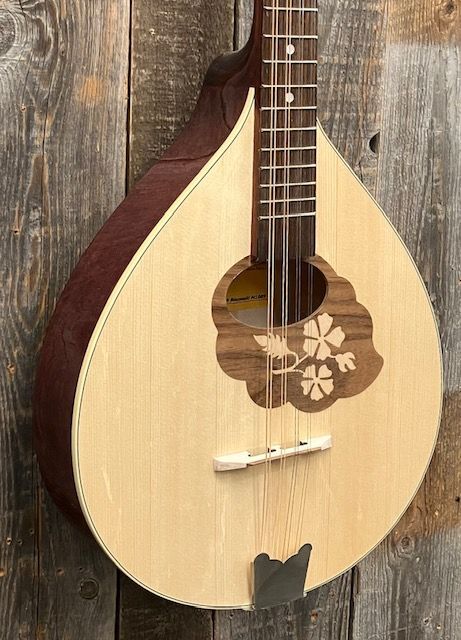 HORA Bouzouki M1089【ブズーキ】（新品）【楽器検索デジマート】