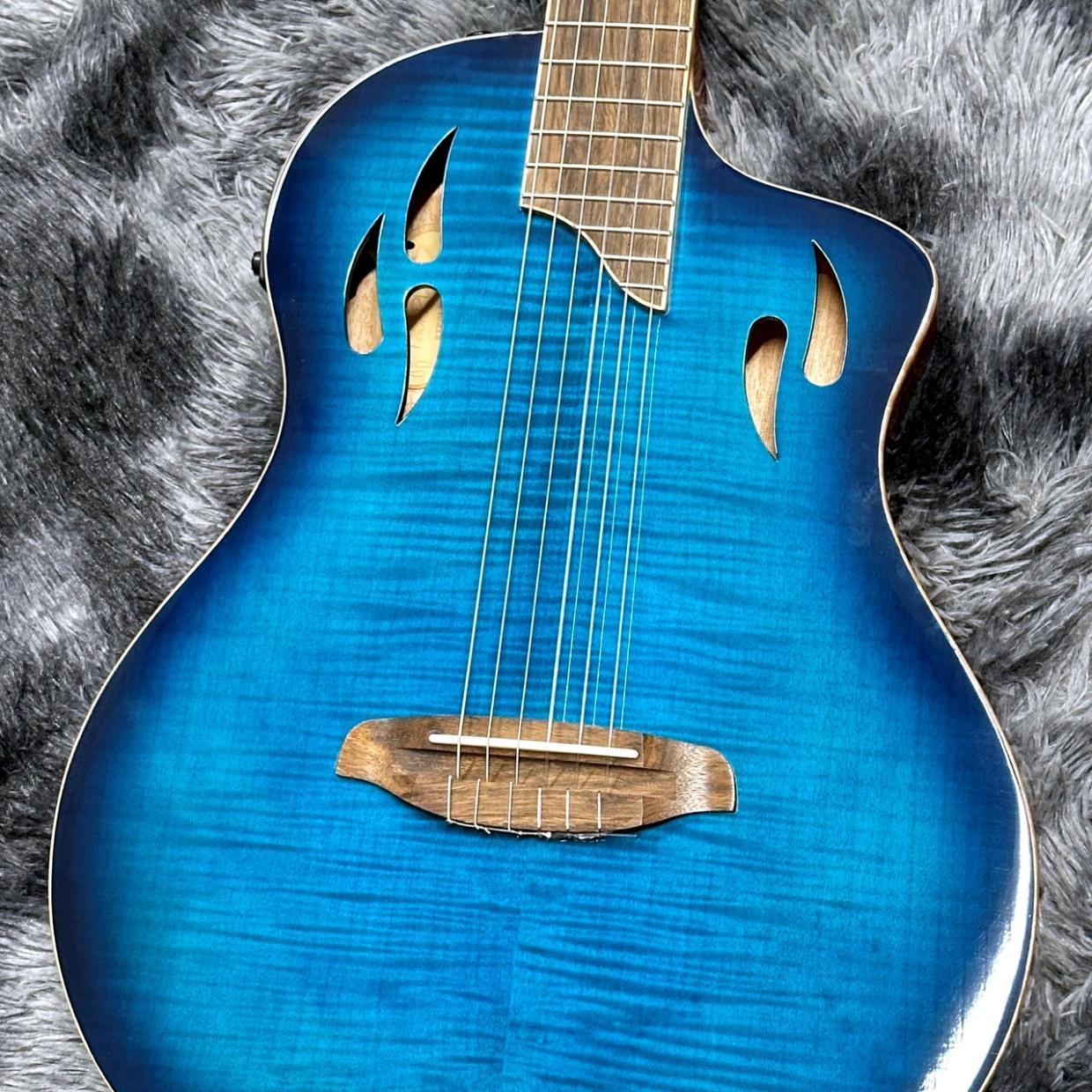 【ほぼ新品】Ortega RTPDLX-FMA TOURPLAYER エレガット ORTEGA RTPDLX-FMA -Tour Player Series-【特価】 【エレガット
