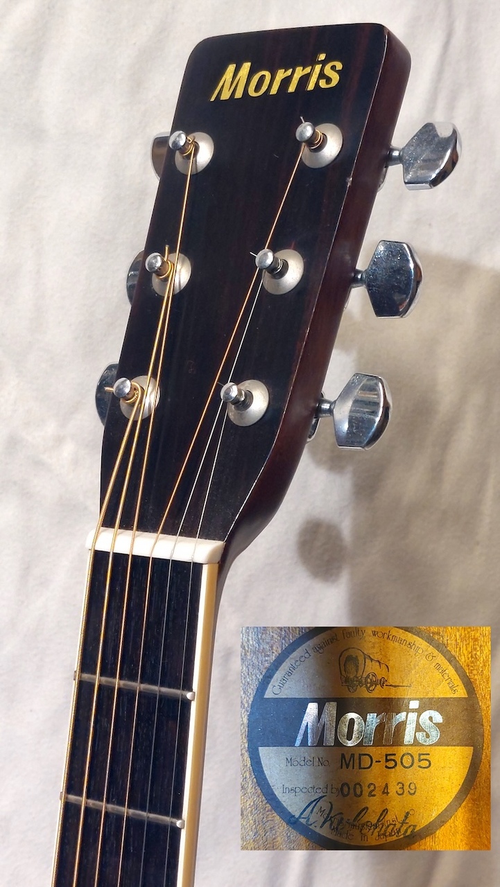 Morris アコースティックギターMD-505日本製 日本製』Morris MD―505 モ―リスアコ―スティックギター