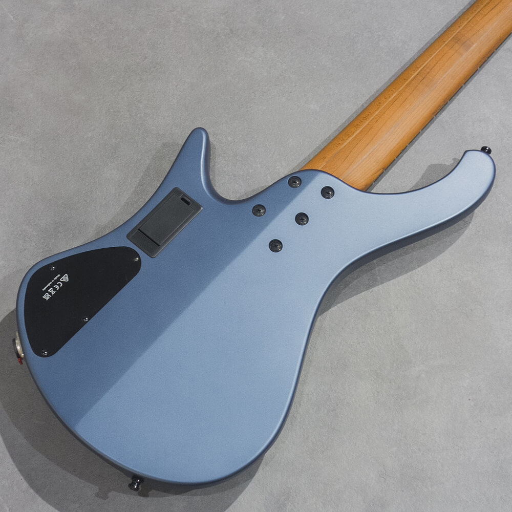 Ibanez EHB Workshop EHB1005F-AOM【EHBフレットレス・モデルが30%OFF