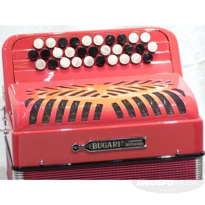BUGARRIリード。イタリア製アコーディオンEXCELSIOR308Hケース - 鍵盤楽器