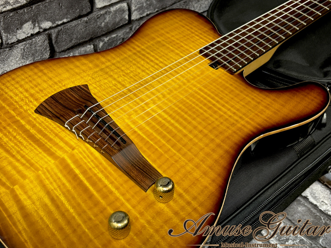 Sadowsky NYC Electric Guts 59 Burst NAMM 2018 Show Model N