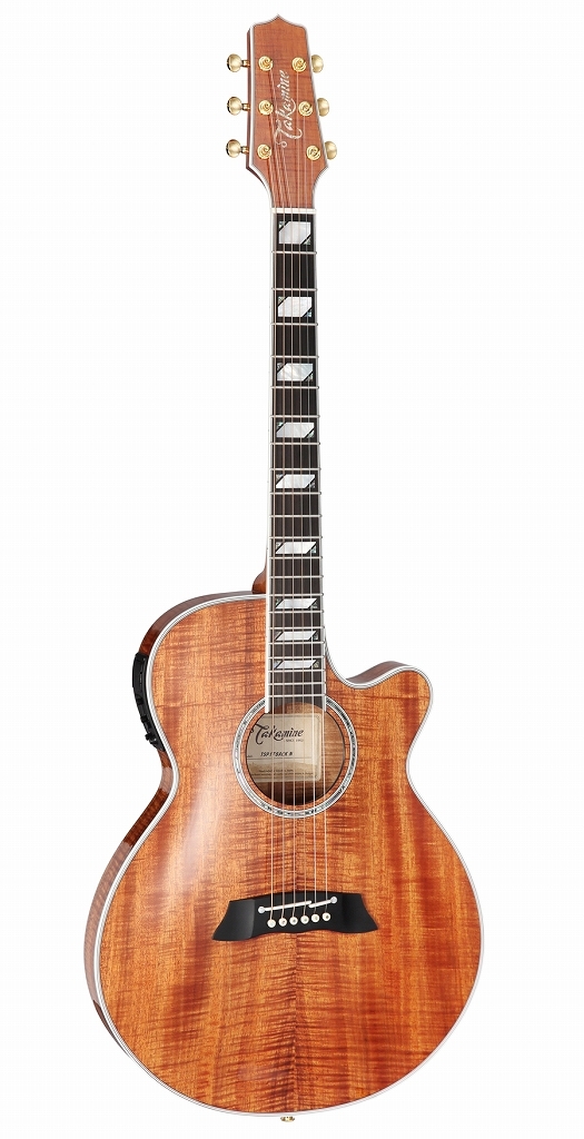 Takamine TSP178ACK N エレアコ アコースティックギター