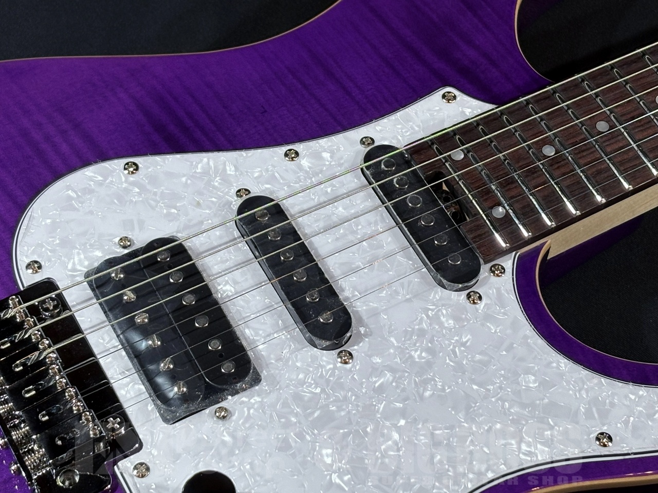 GrassRoots G-SNAPPER-CTM See Thru Purple（新品/送料無料）【楽器