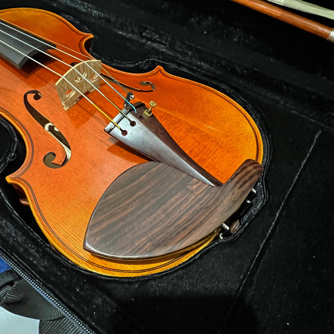 【56%OFF!】 Carlo Giordano（カルロジョルダーノ）ヴァイオリンケース用楽譜バッグAB-101