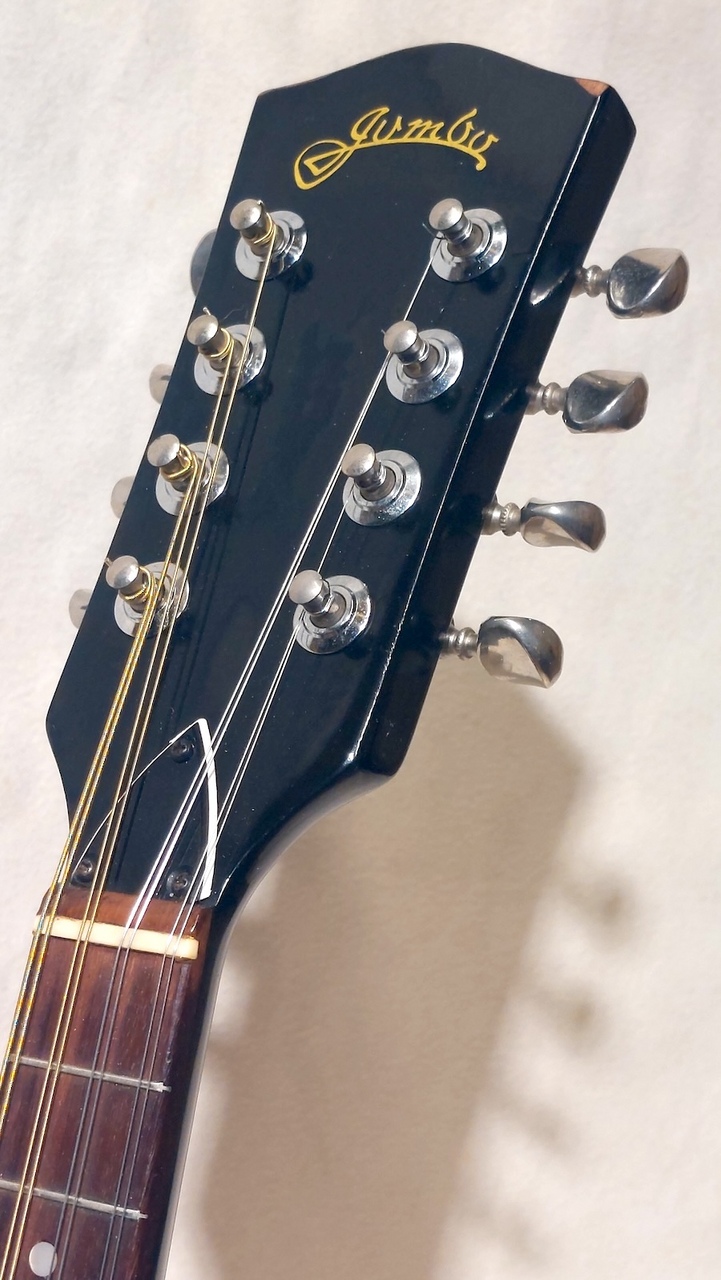 jumbo JM-28（中古）【楽器検索デジマート】