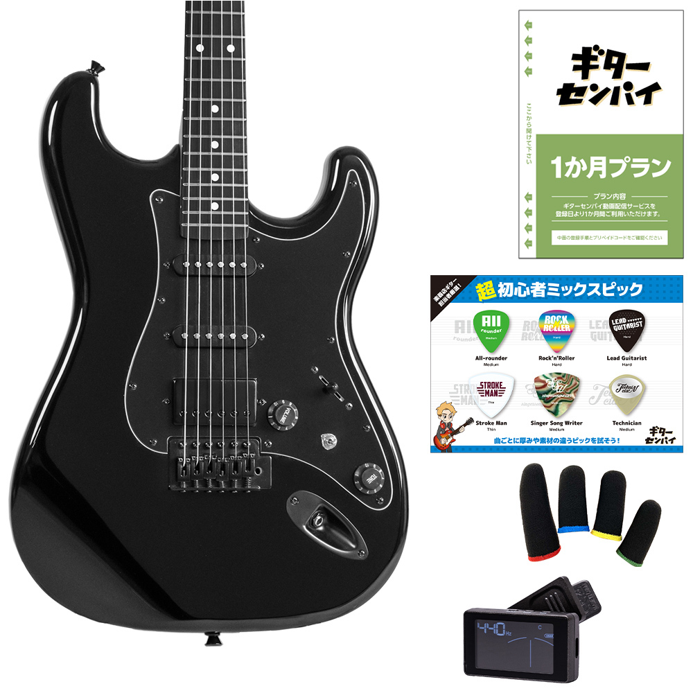 Eris. Nestia 超初心者セット オールブラック ローステッド