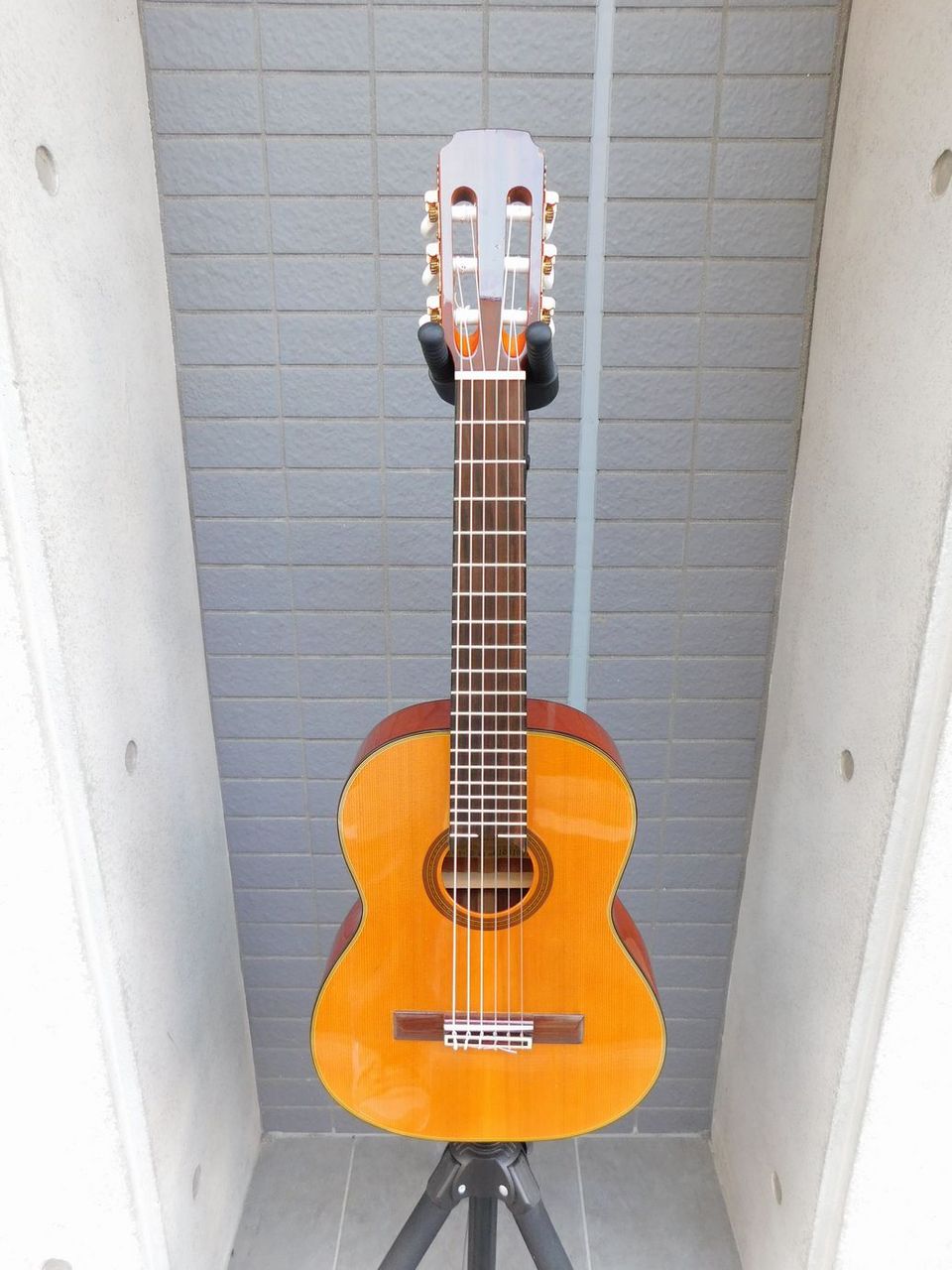 ARIA A-20-48 ミニガットギター（中古）【楽器検索デジマート】