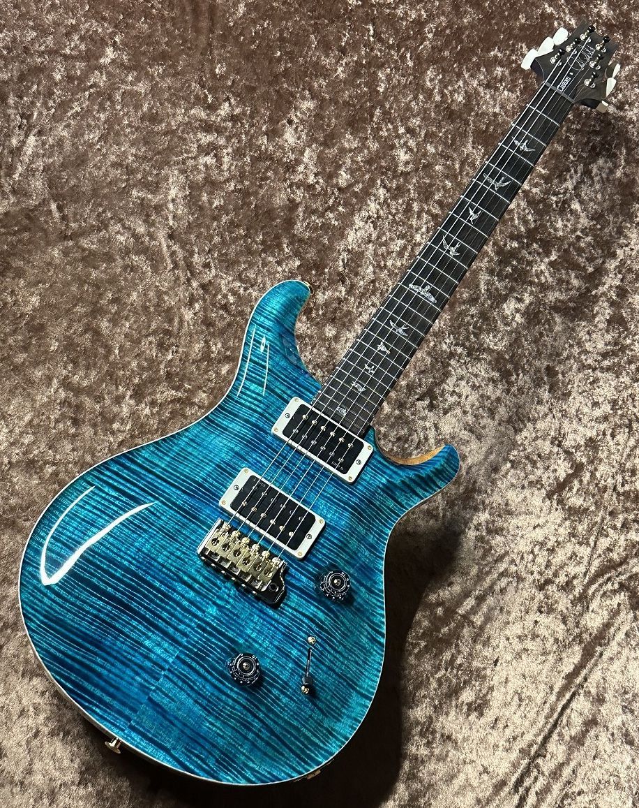 Paul Reed Smith(PRS) Wood Library Custom 24 -Laguna(Stained Neck