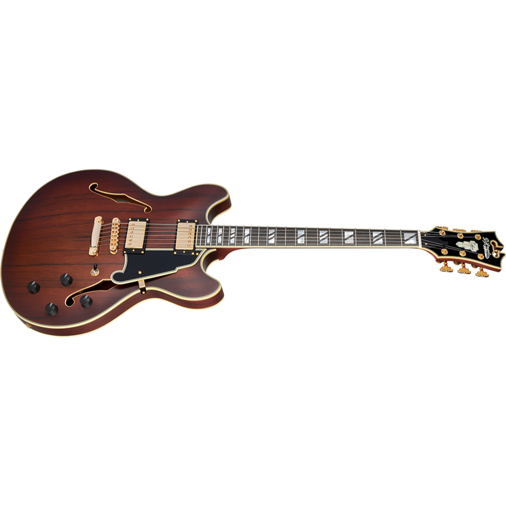 D'Angelico ディアンジェリコ Deluxe DC Satin Brown Burst