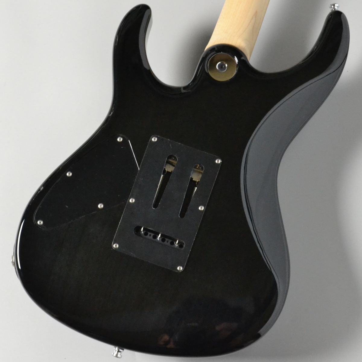 FREEDOM CUSTOM GUITAR RESEARCH Hydra 24F 清流（新品/送料無料