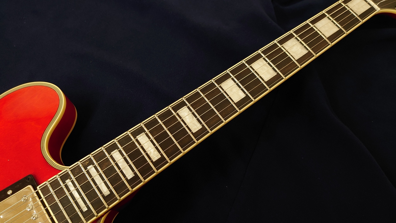 Epiphone SHINICHI UBUKATA 【生形真一】ES-355 ver.02 -Sixties