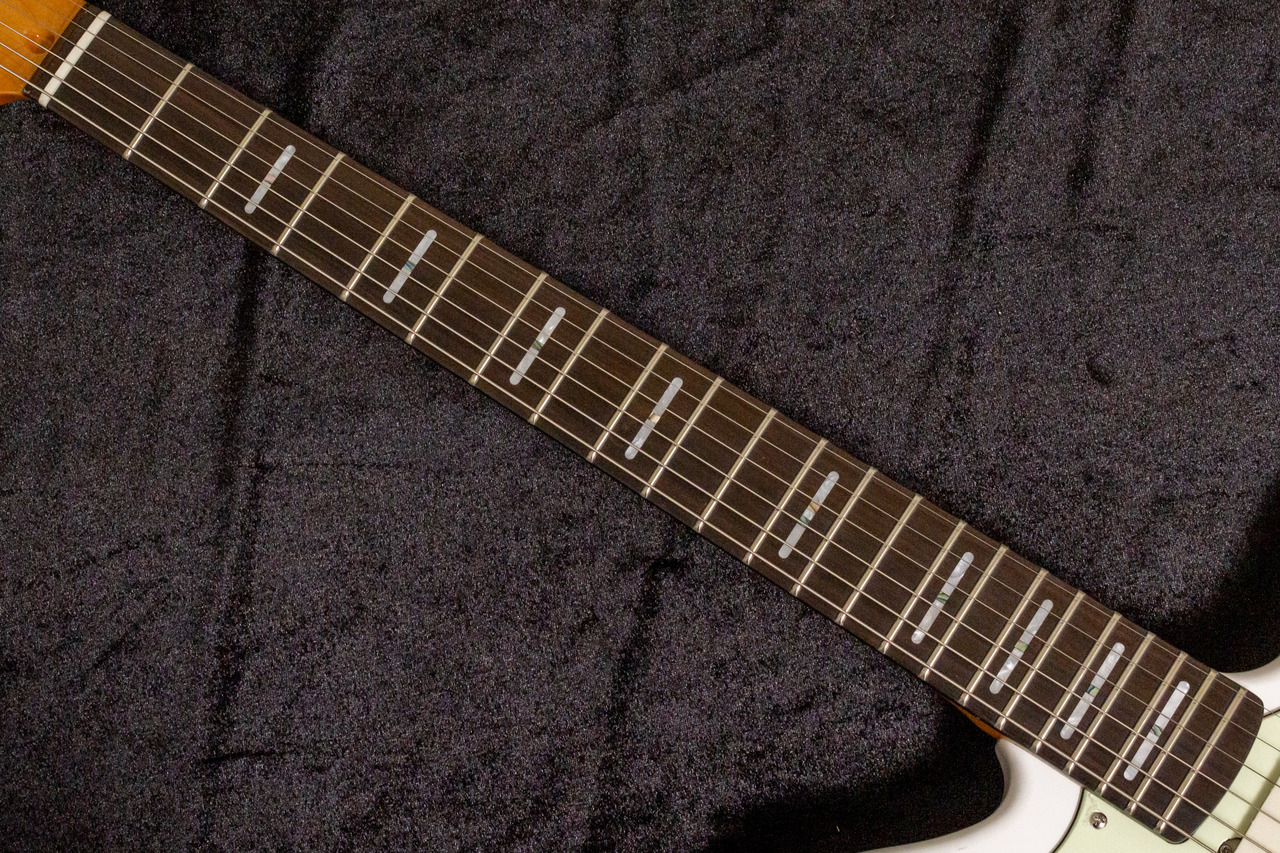 Sire Larry Carlton J5 WH #2N24990716 3.82kg【TONIQ横浜】（新品