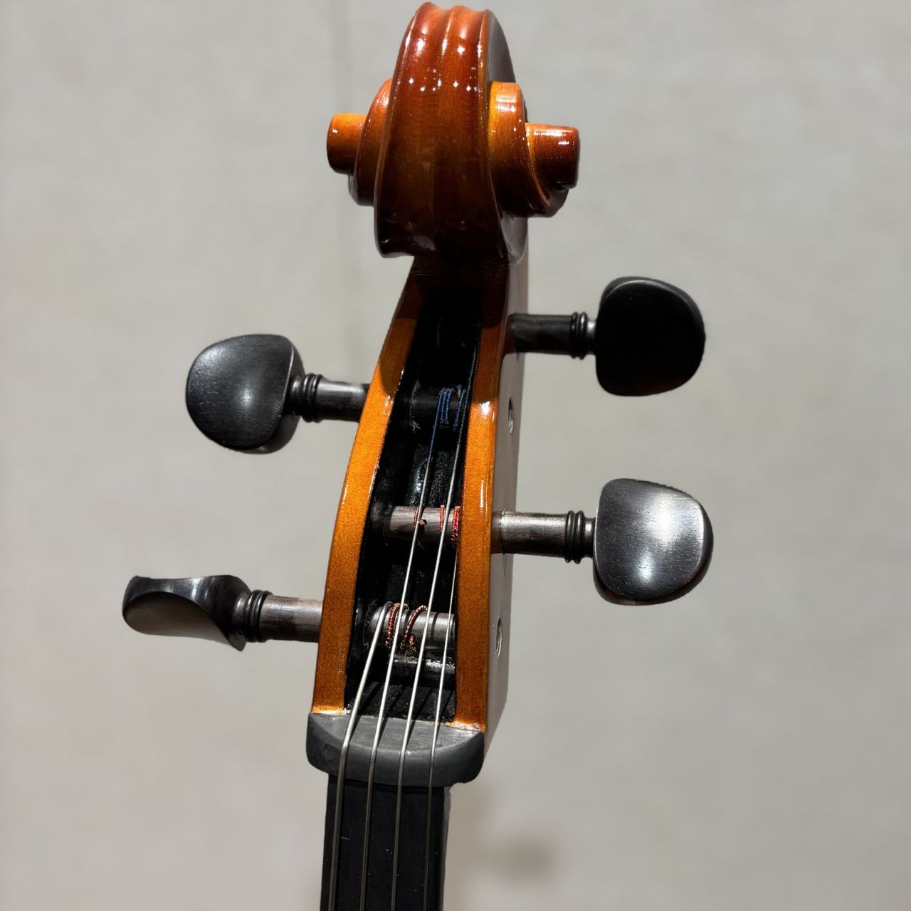 Carlo Giordano SC-100 4/4 チェロセット（新品/送料無料