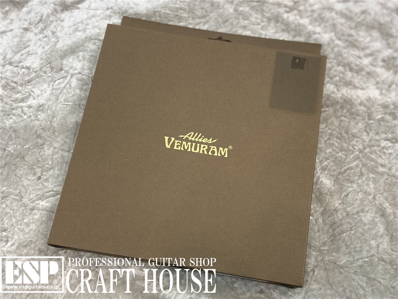 Allies Vemuram BBB-VM-LST/LST-10ft（新品特価）【楽器検索
