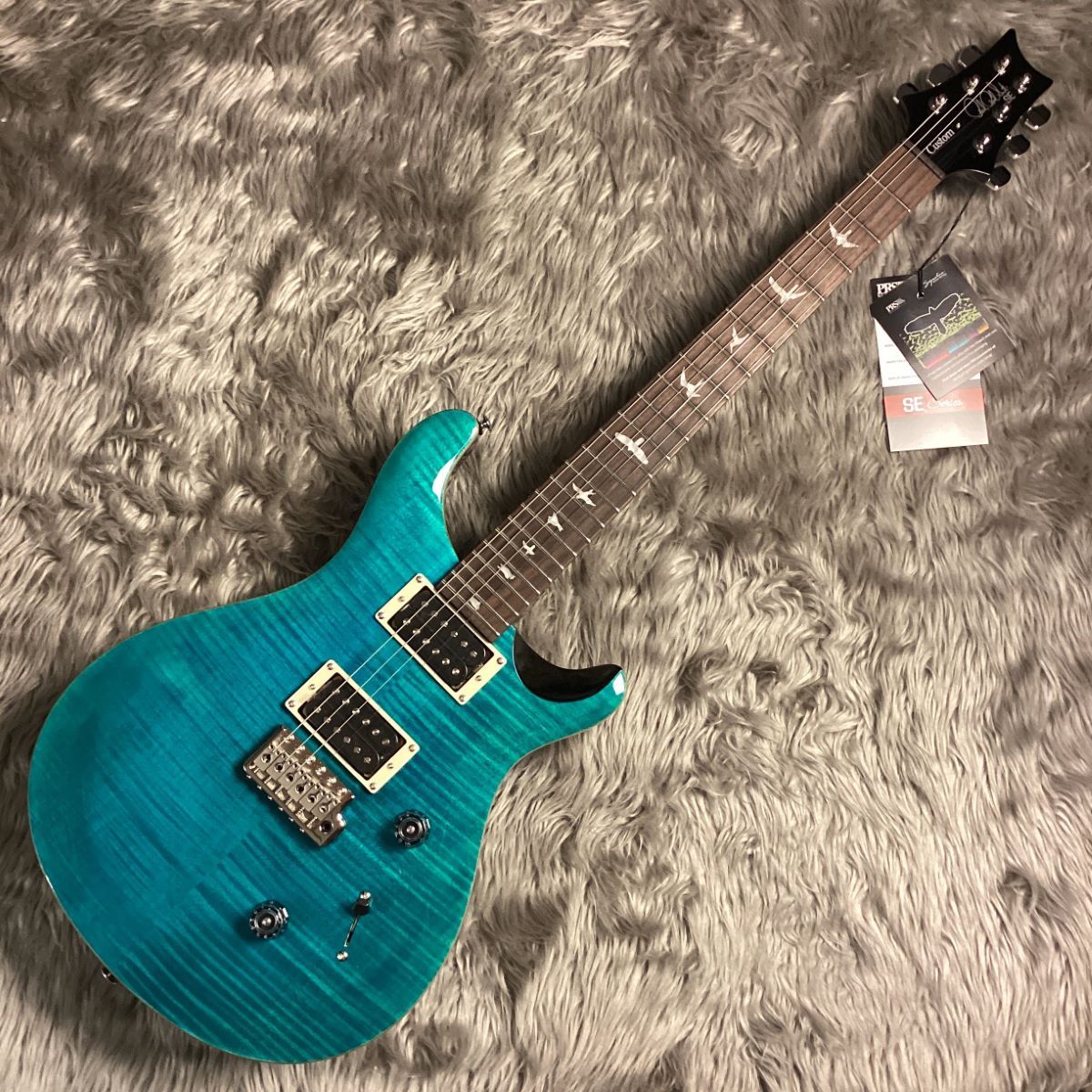 Paul Reed Smith (PRS)SE Custom 24 -Blue Matteo-【2024年製