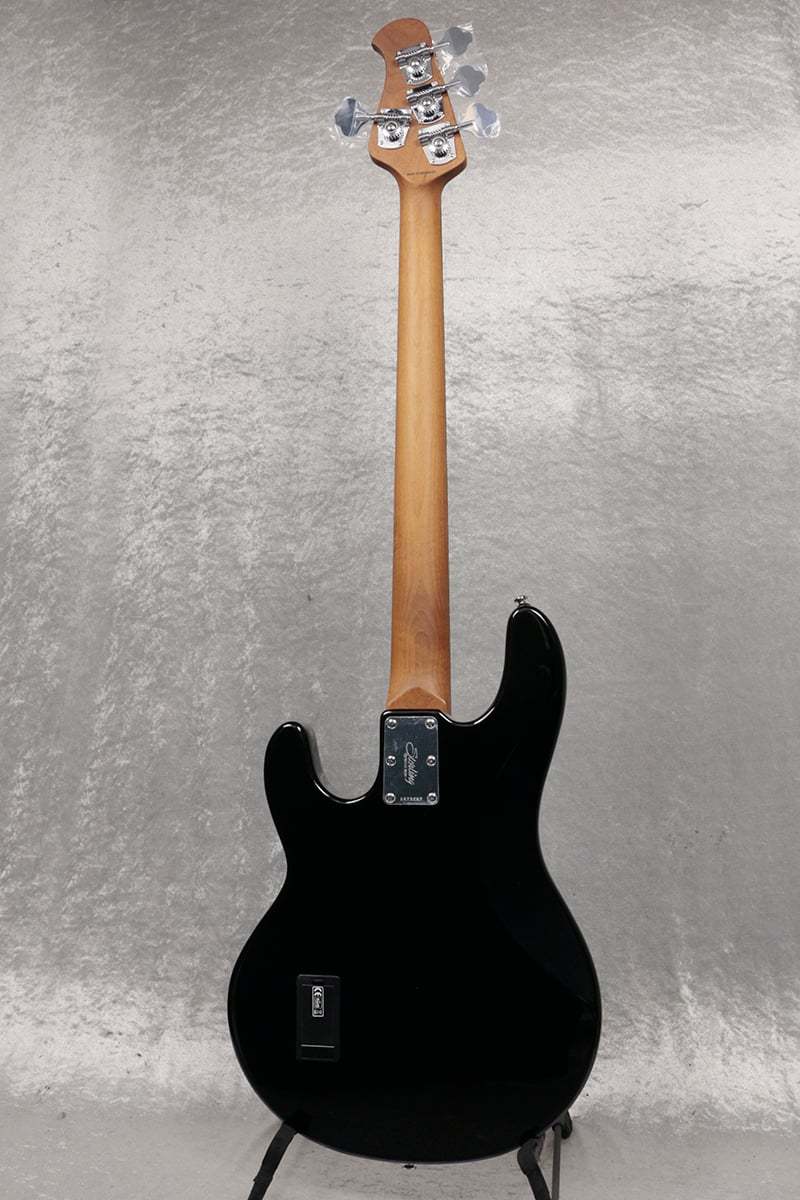 Sterling by MUSIC MAN RAY 34 Black【新宿店】（新品/送料無料