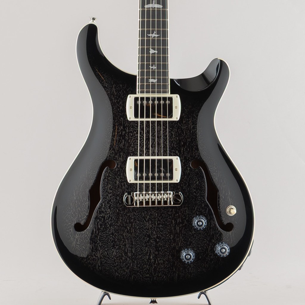 Paul Reed Smith(PRS) SE Hollowbody Standard Piezo/Dog Hair