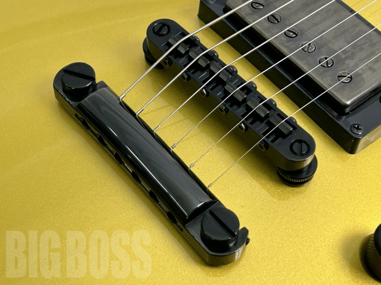 LTD EC-2025 50th Anniversary(Metallic Gold)（新品/送料無料）【楽器