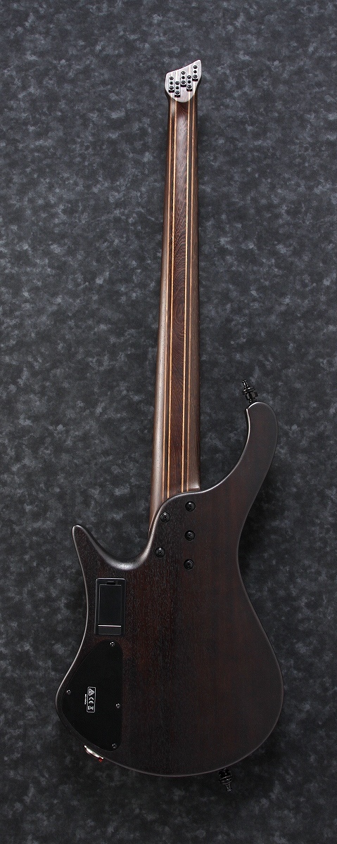 【希少色】 Ibanez / EHB1505MS-TSF ヘッドレス EHB1505MS | EHB | ELECTRIC BASSES | PRODUCTS | Ibanez guitars