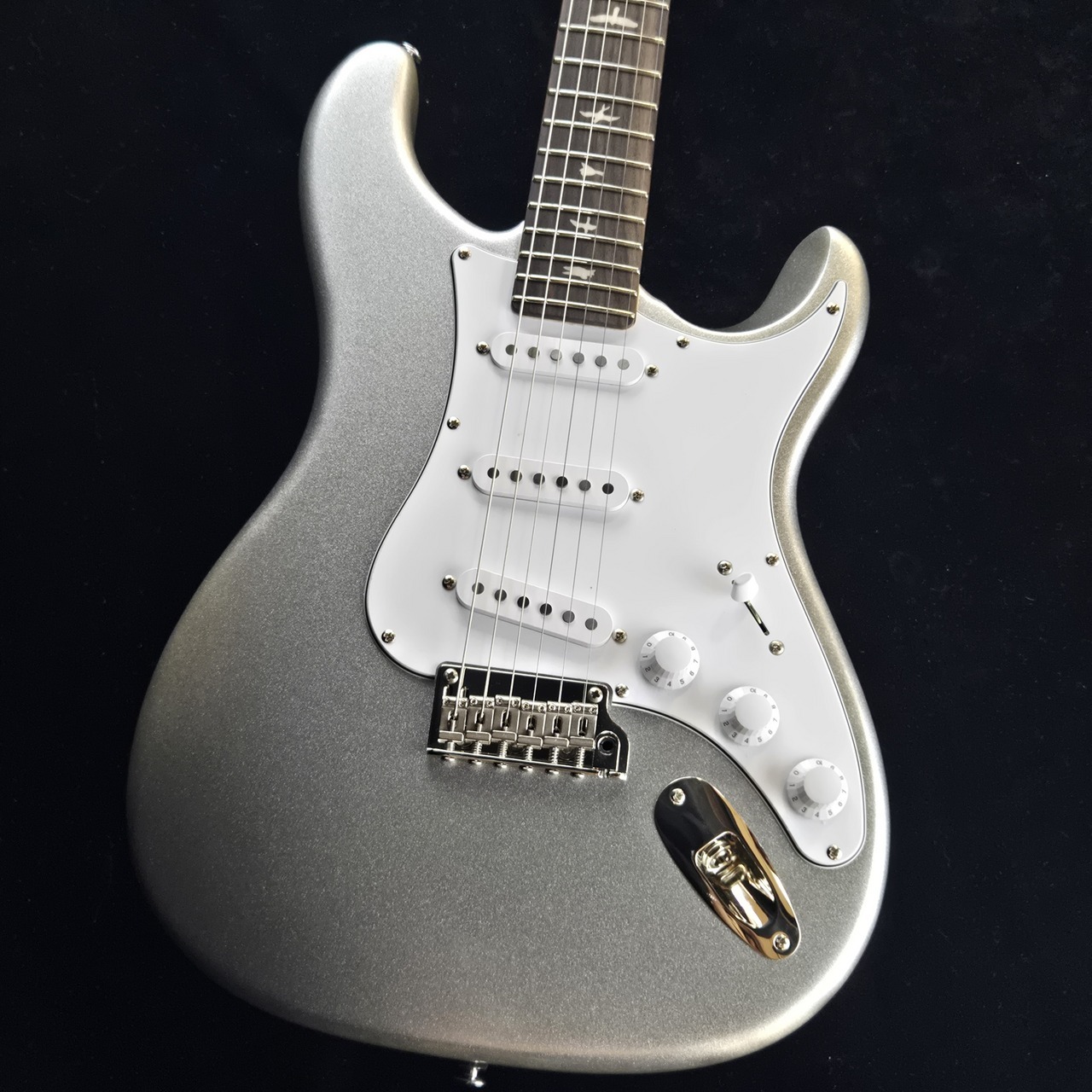 Paul Reed Smith(PRS) SE Silver Sky - Platinum Spark【現物画像