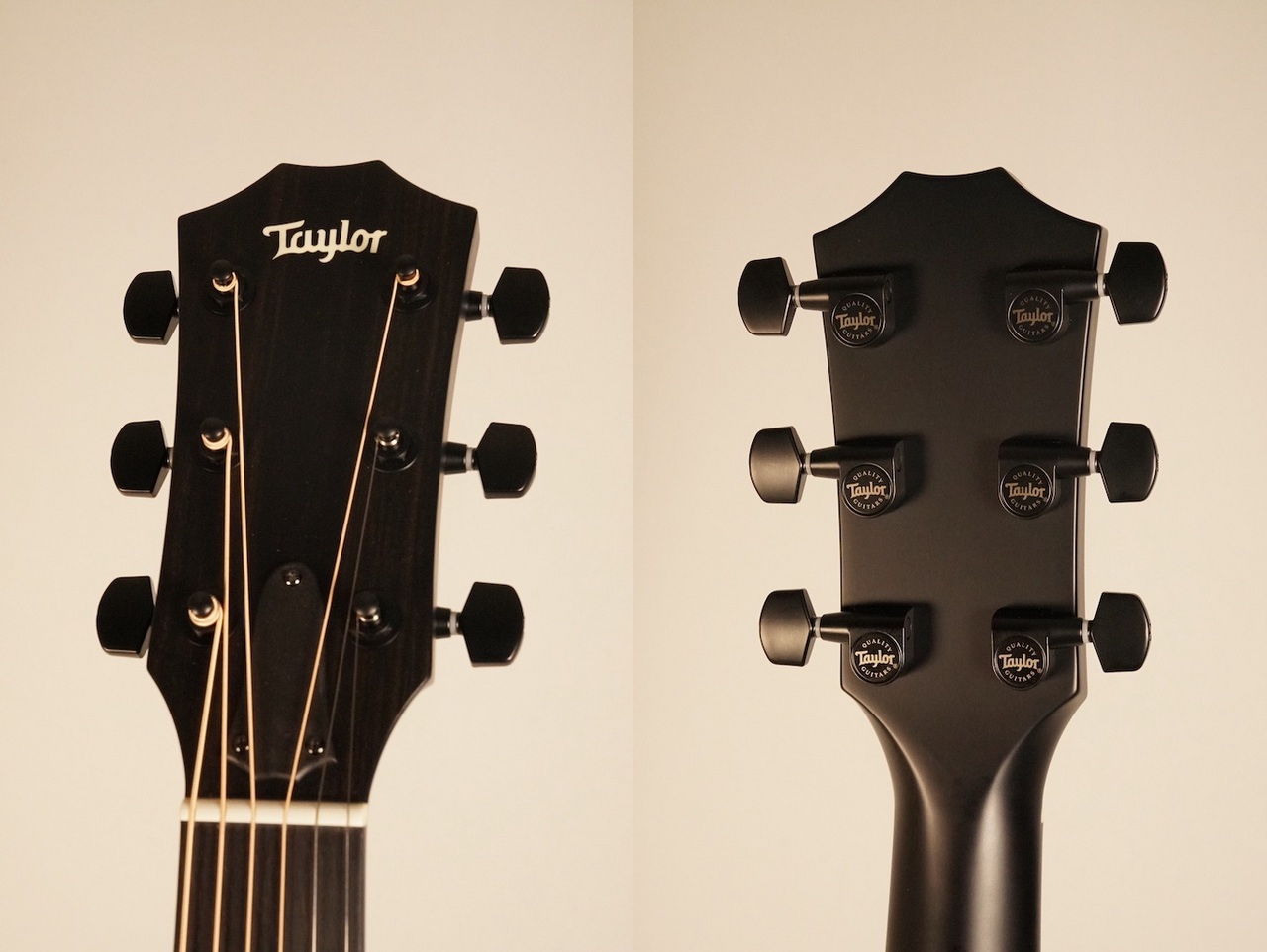 Taylor 214ce Plus ~Trans Blue~ #2207315394【エレアコ】【イン