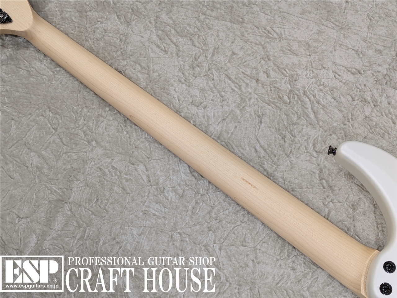 DINGWALL NG-3 4st / Matte Ducati Pearl White（新品/送料無料