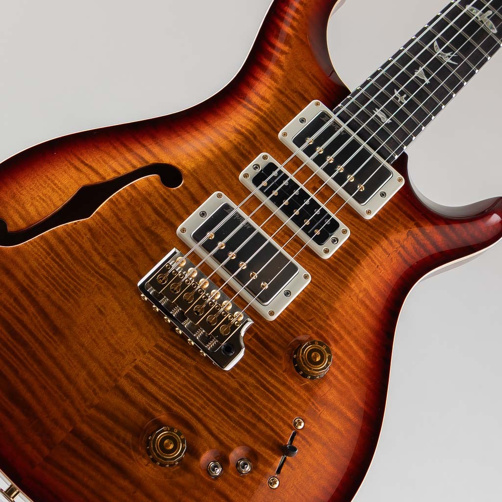 Paul Reed Smith(PRS) Special Semi-Hollow 10Top Dark Cherry