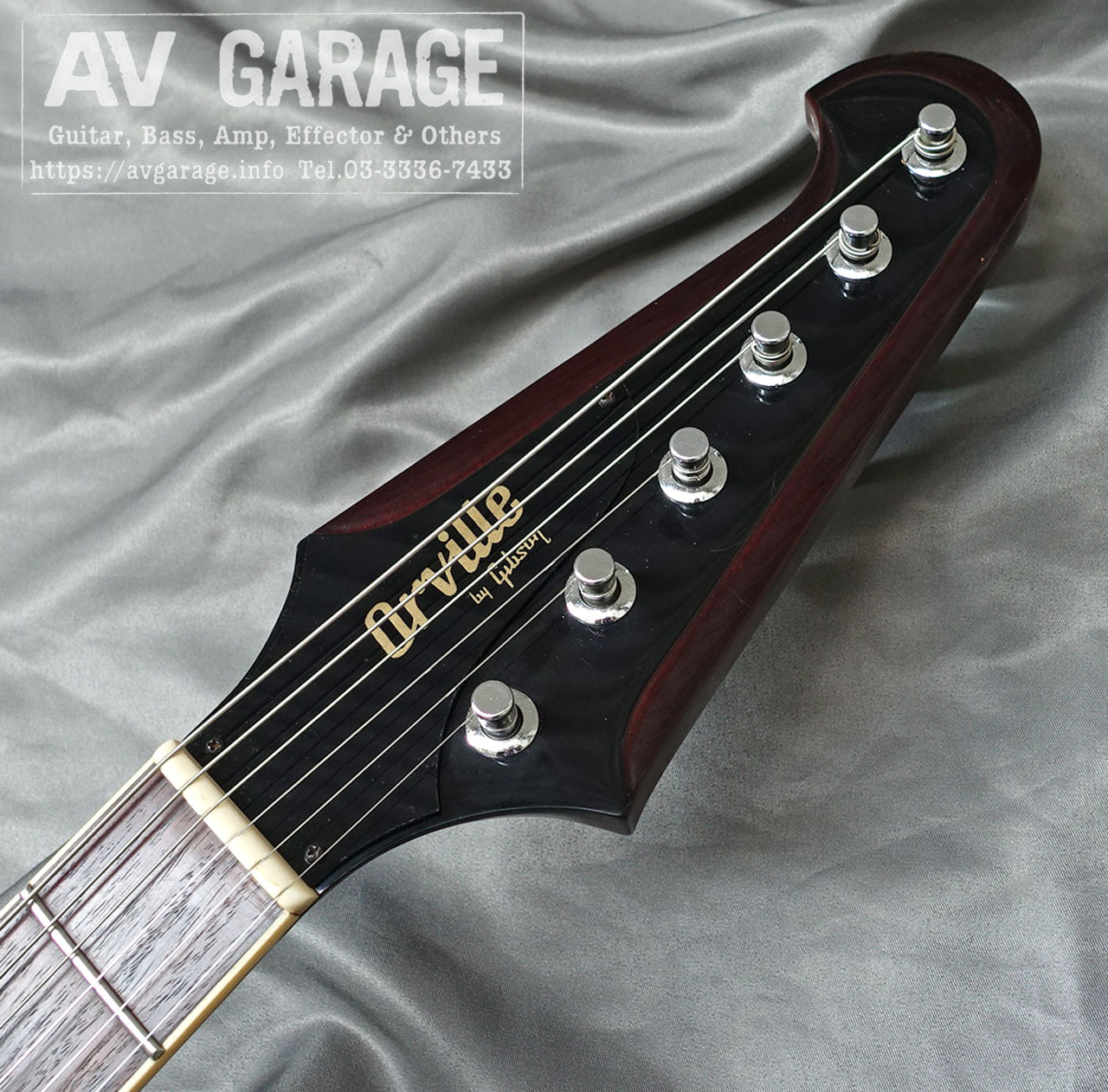 Gibson Firebird 入荷しました！｜島村楽器 長野店