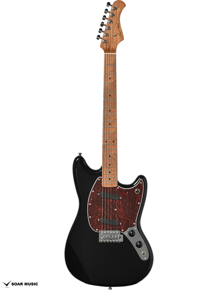 Bacchus バッカス BMS-1-RSM/M-TTPG BLK(ブラック) CAR べっ甲柄