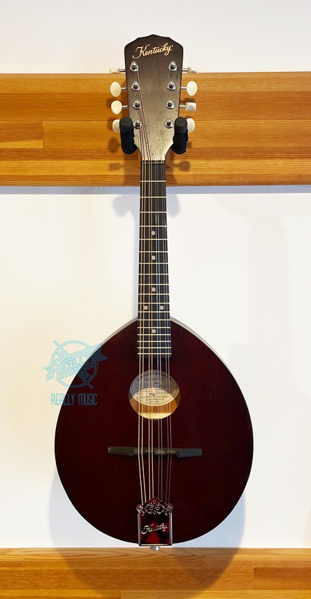 Kentucky KM-120（新品）【楽器検索デジマート】