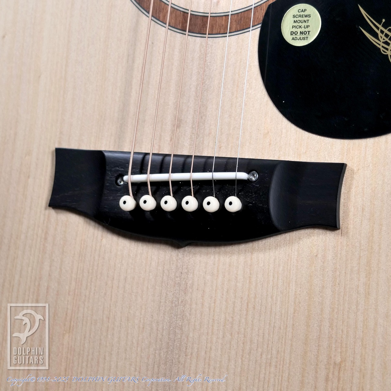 MATON Performer【48回無金利対象品】（新品）【楽器検索デジマート】